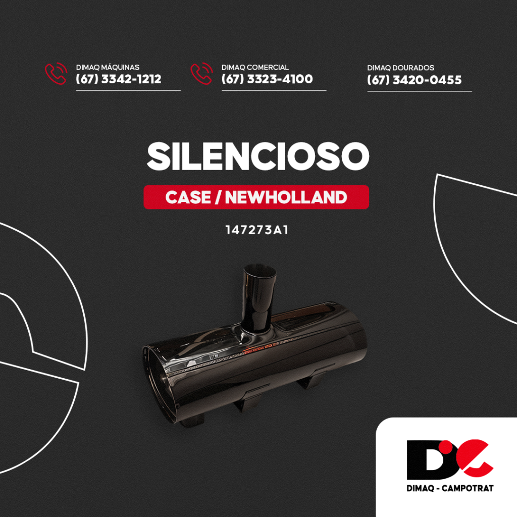 SILENCIOSO 147273A1