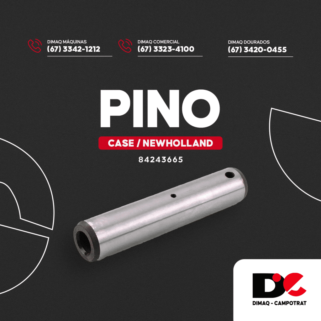 PINO 84243665